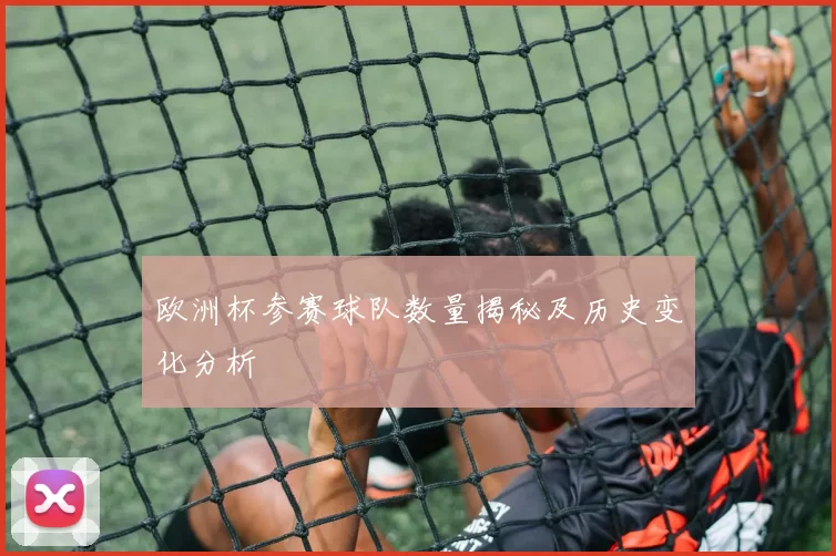 欧洲杯参赛球队数量揭秘及历史变化分析