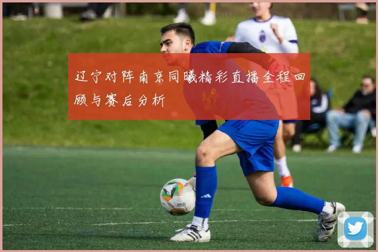 辽宁对阵南京同曦精彩直播全程回顾与赛后分析